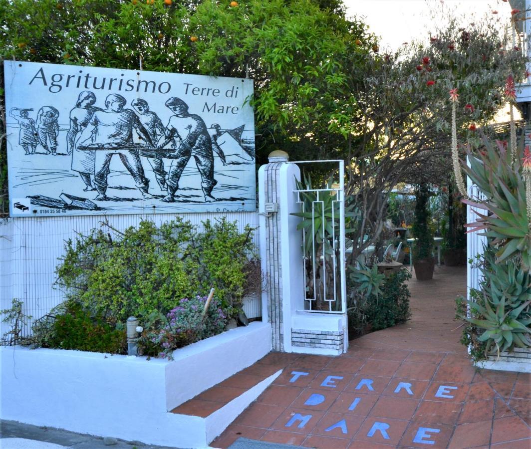 Terre Di Mare Bordighera *