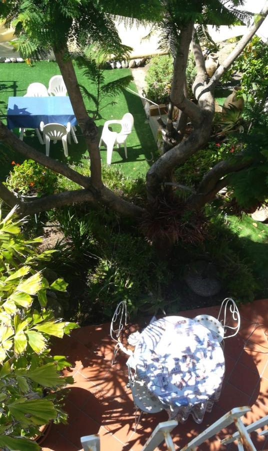 Terre Di Mare Bordighera Agroturismo