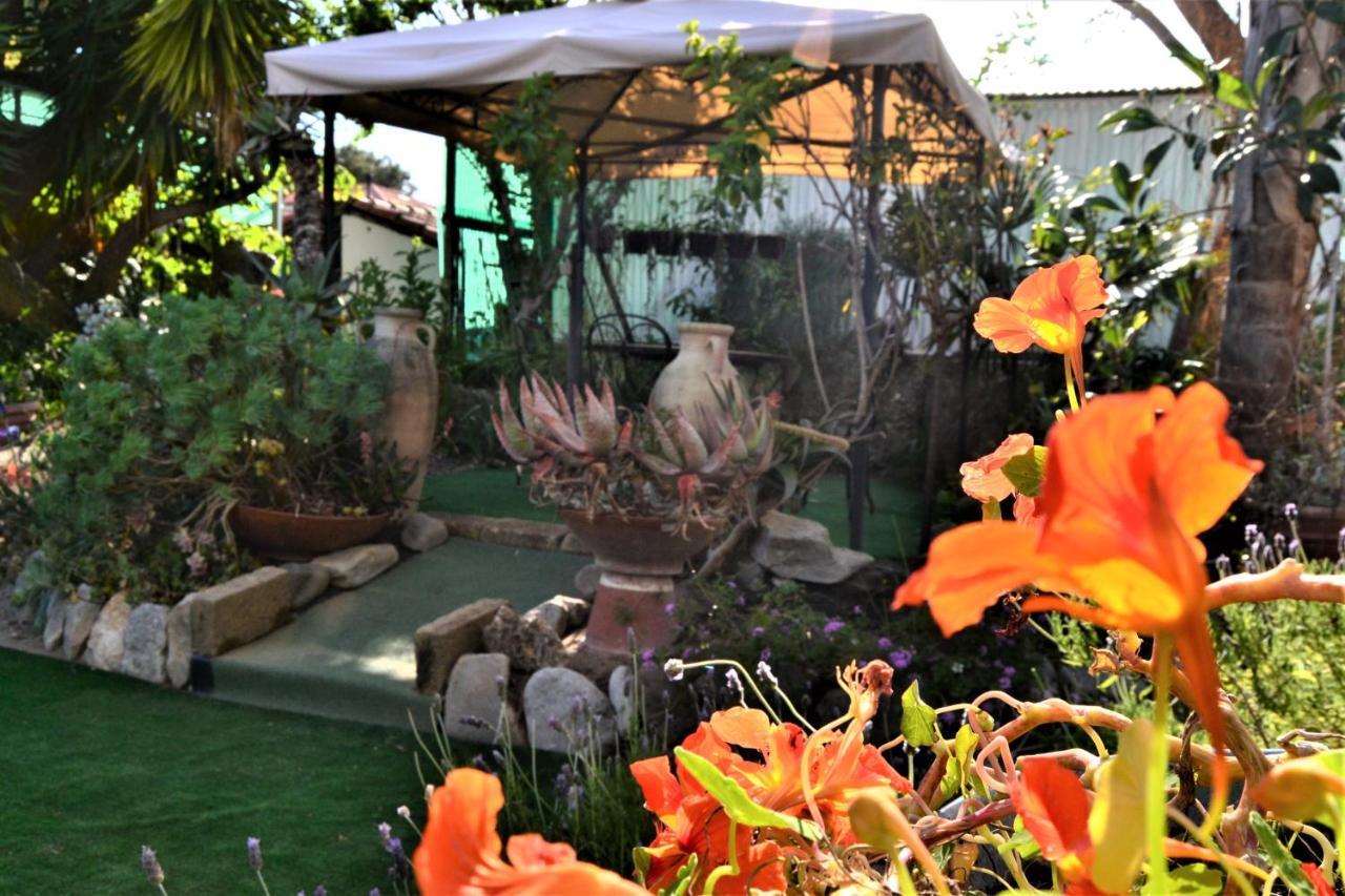 Terre Di Mare Bordighera Agroturismo Vallecrosia
